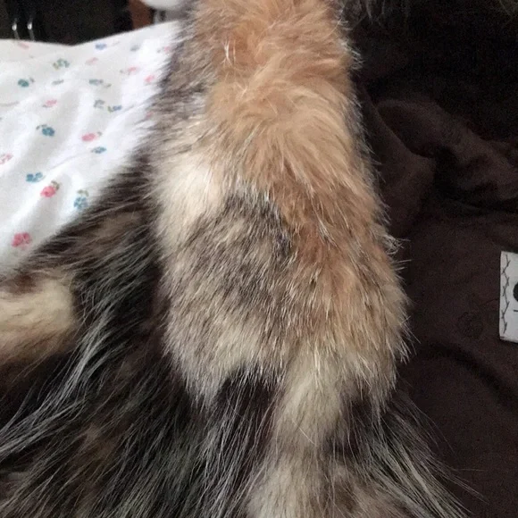 SPORT FUR JACKET - Picture 16 of 16